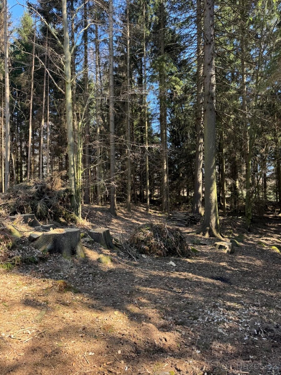 Prodám pozemky v k.ú. Horní Bolíkov Studená, okres Jindřichů - 10