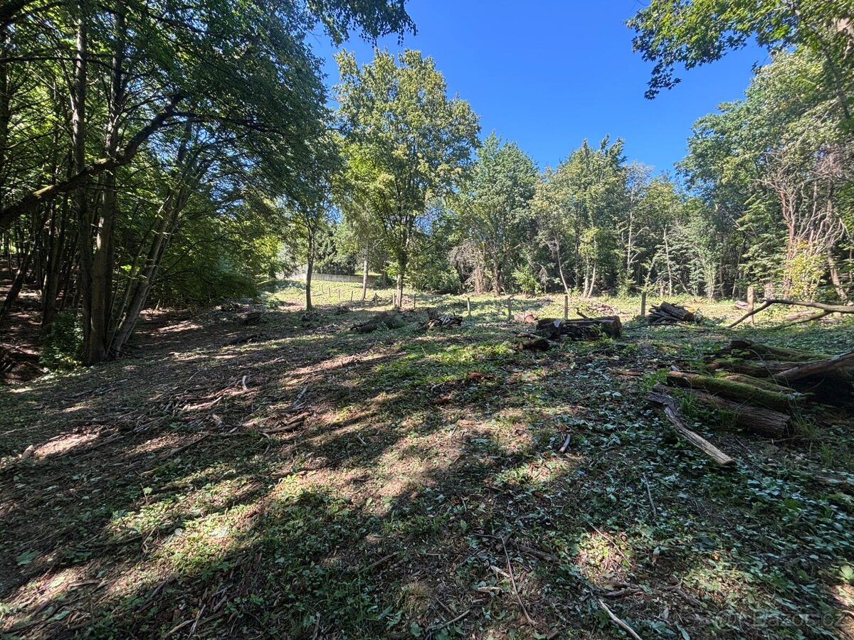 Prodám stavební pozemek v k.ú. Zlín - 10