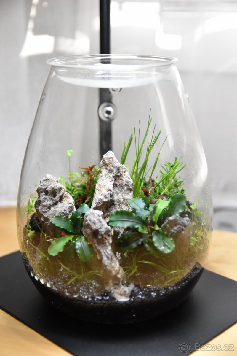 Realizace akvárií na míru – Přírodní, rostlinná i Malawi - 10
