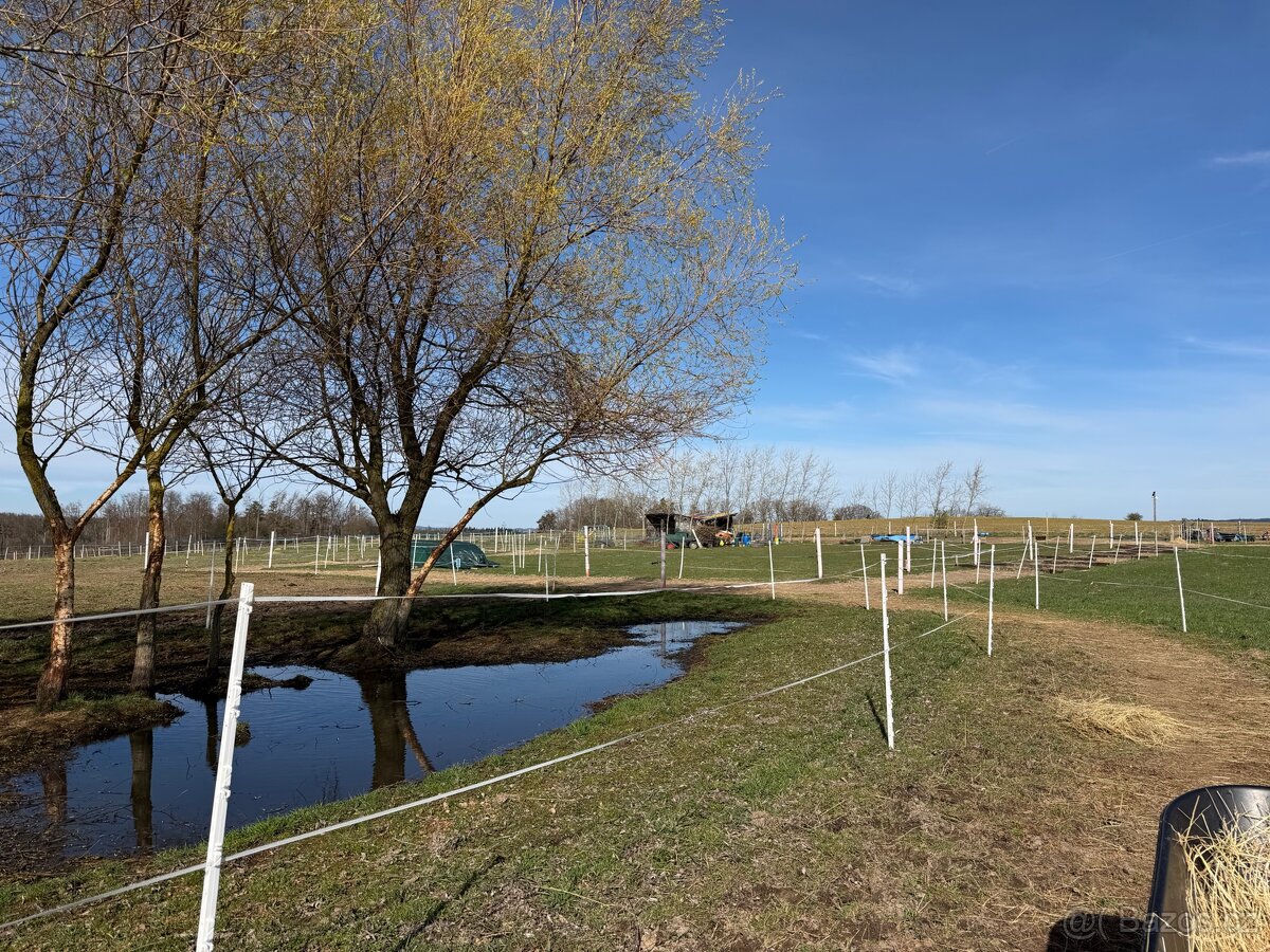 Trekové ustájení - Paddock Paradise - 10