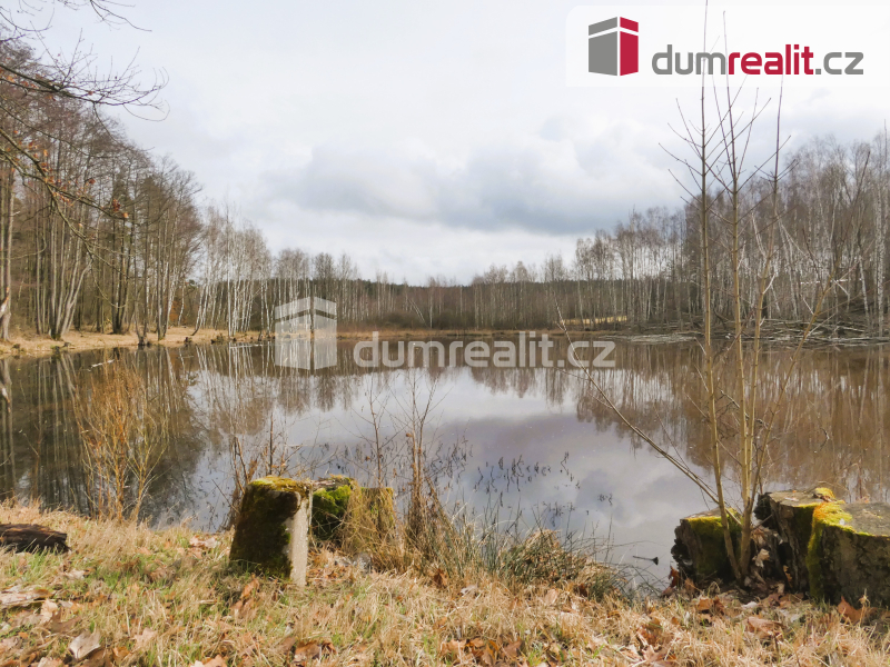 Prodej, Pomezní rybník 3974 m² - 10