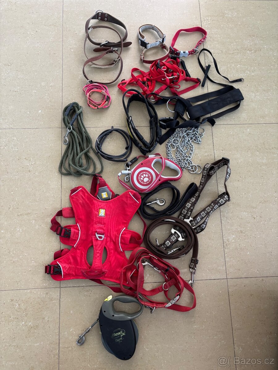 Potřeby pro psa - 10