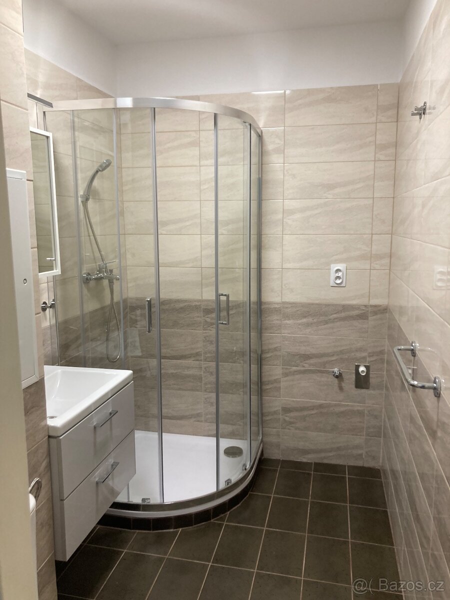 Pronájem bytu 2+1, 60m2 ve Veselí nad Lužnicí - 10