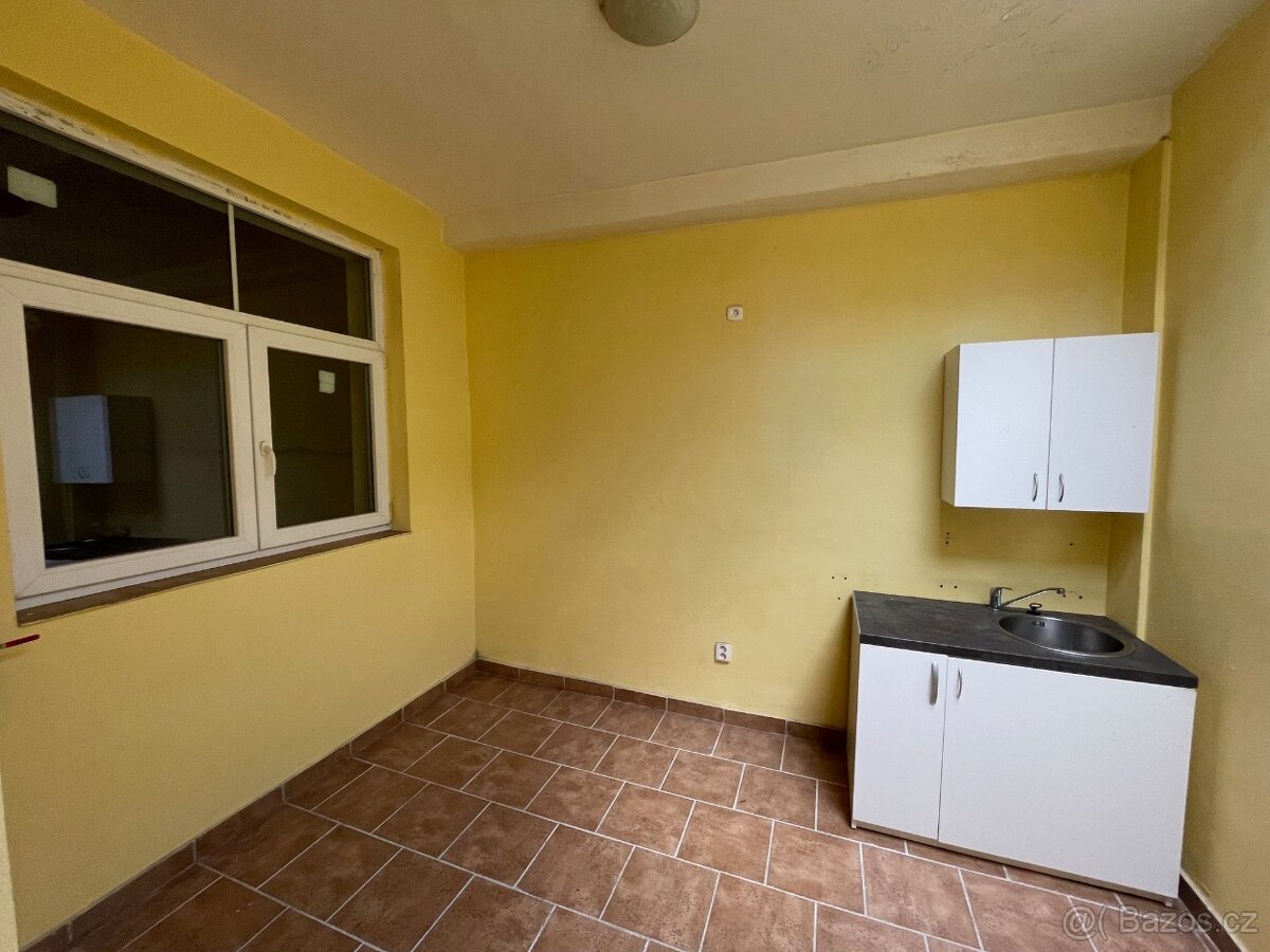 PRONÁJEM OBCHODNÍCH PROSTOR HLUK - 10