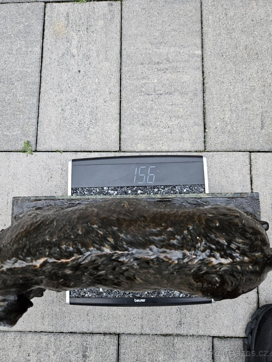 Fritz Diller Bronzový kanec Divoký kanec - 10