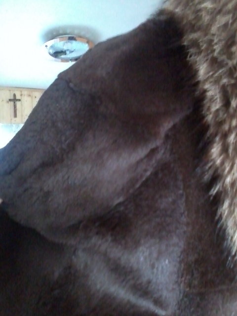 dlouhý kožich - 10