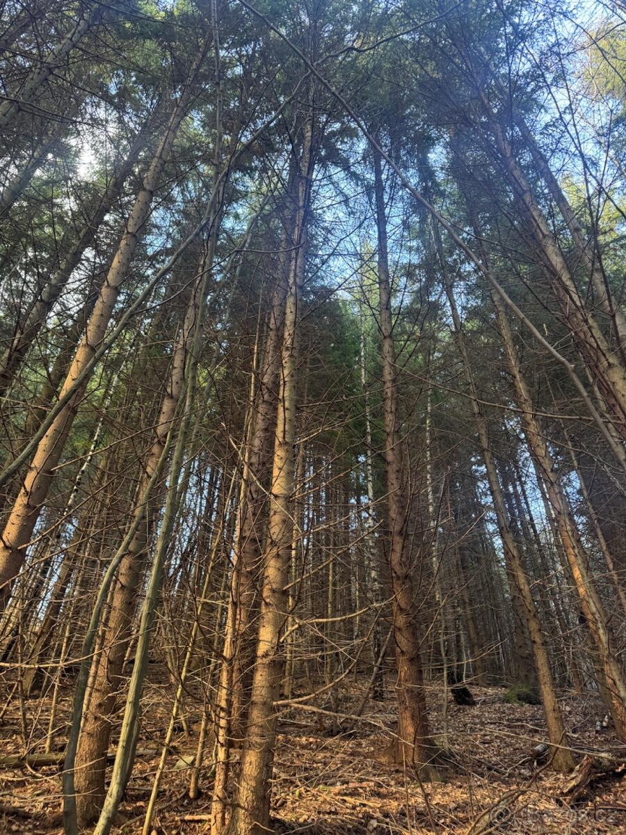 Prodej pozemků k.ú. Huslenky - 10