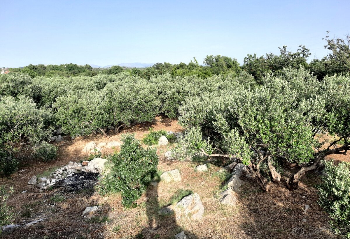 Kamenný dům s olivovým sadem - 10