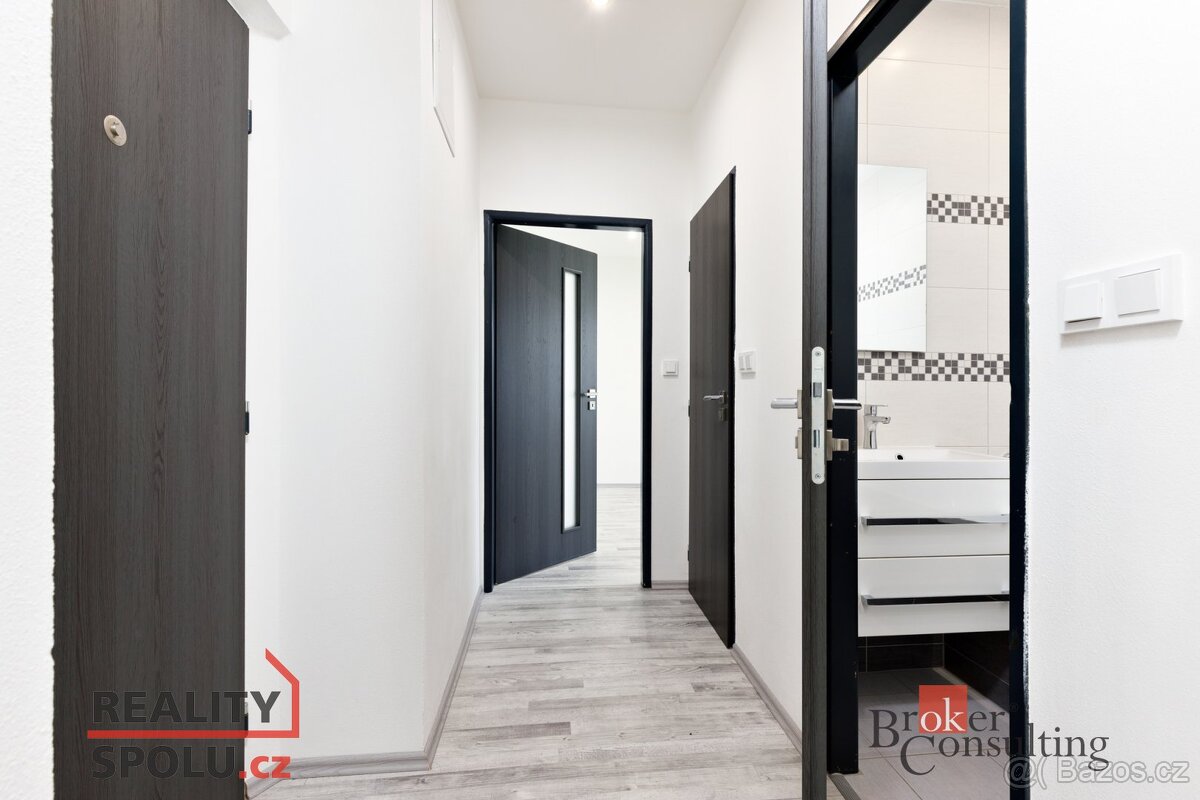 Pronájem, byty/2+1, 54 m2, Táborská 1946/14, Východní Předmě - 10