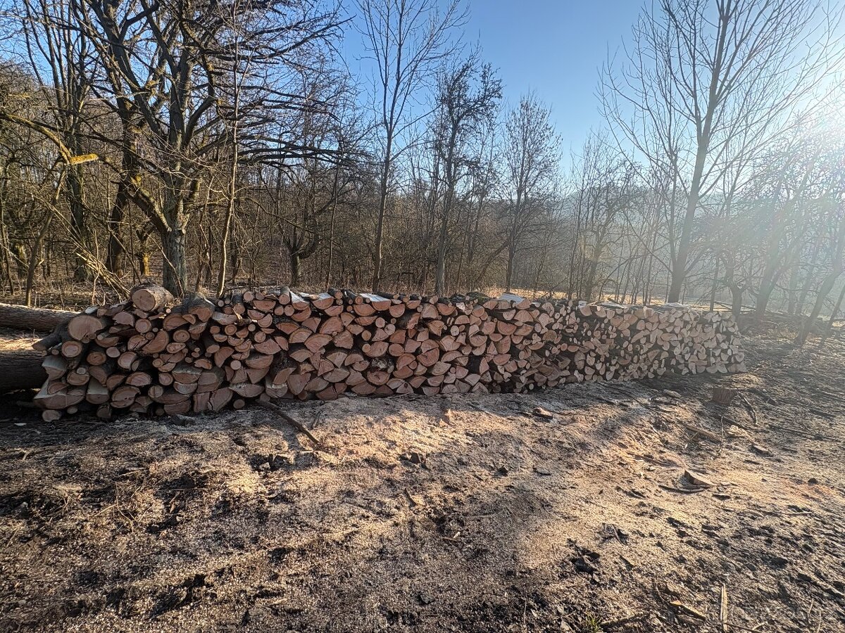 Palivové Dřevo Jasan - 10