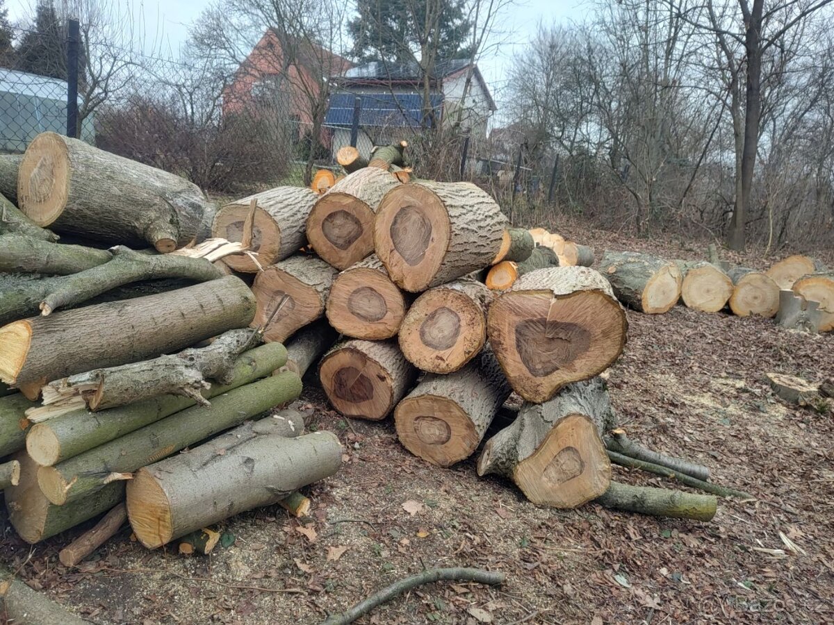 Třešeň - dřevo na uzení - 10