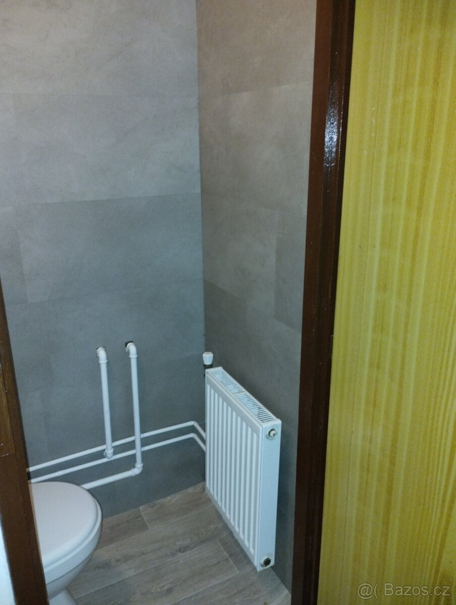 Pronájem rekreačního domku - 10