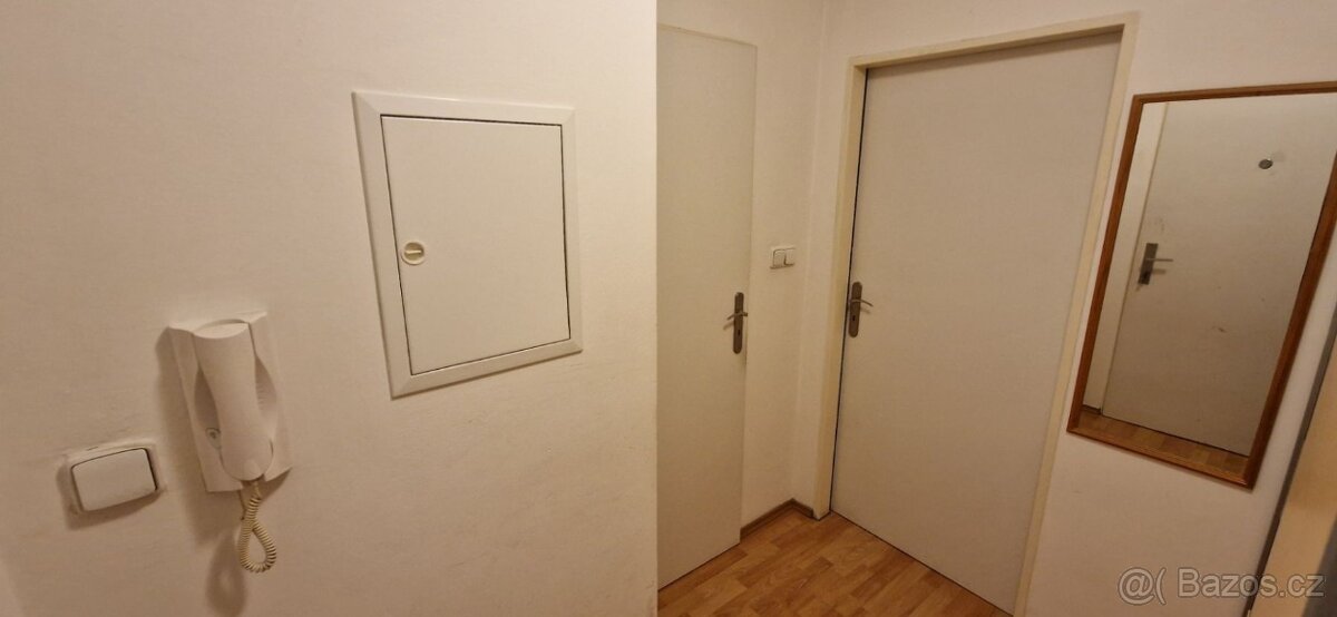 Pronájem bytu Praha 10 - 10