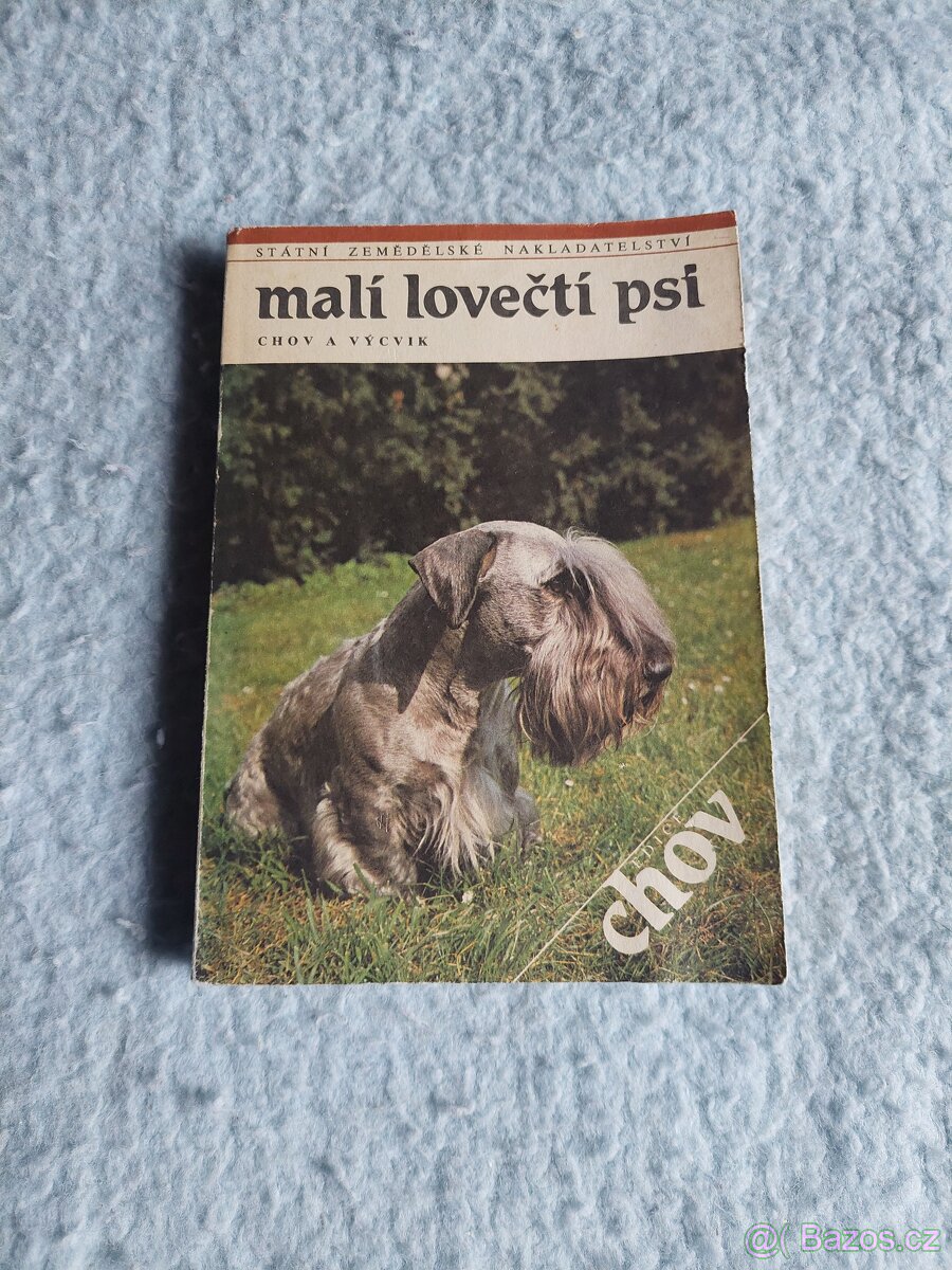 KNihy VSEHOCHUT - 10