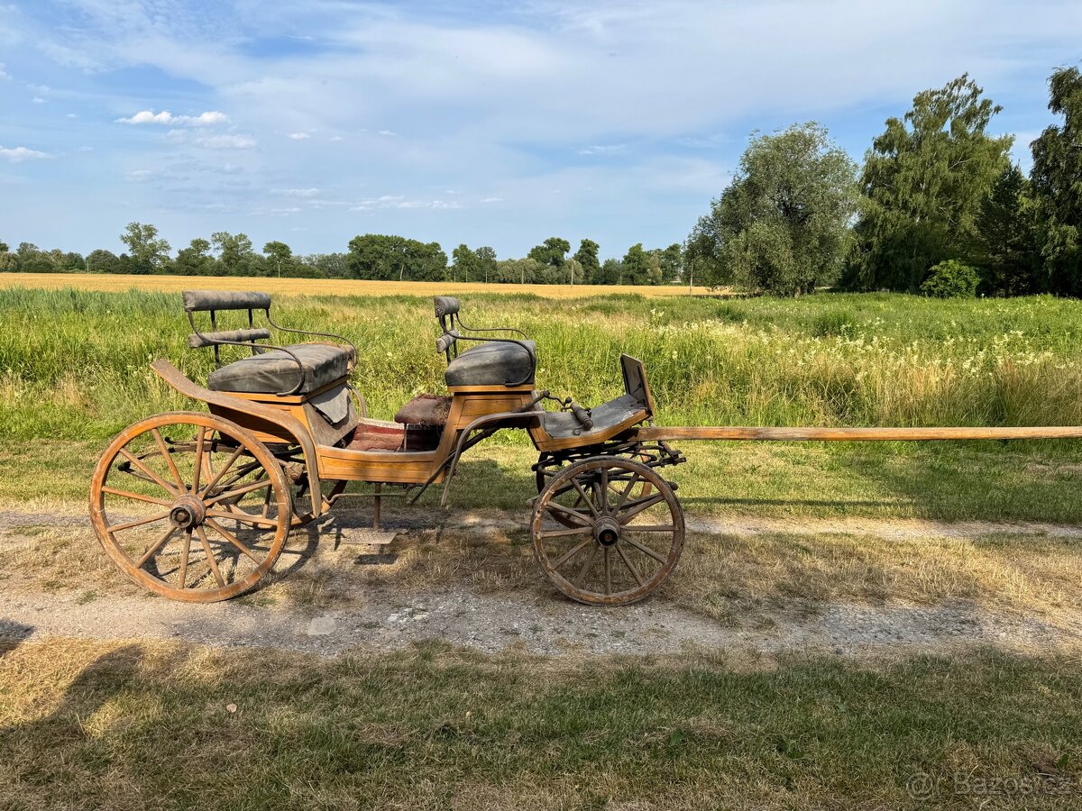 Koňská bryčka - 10