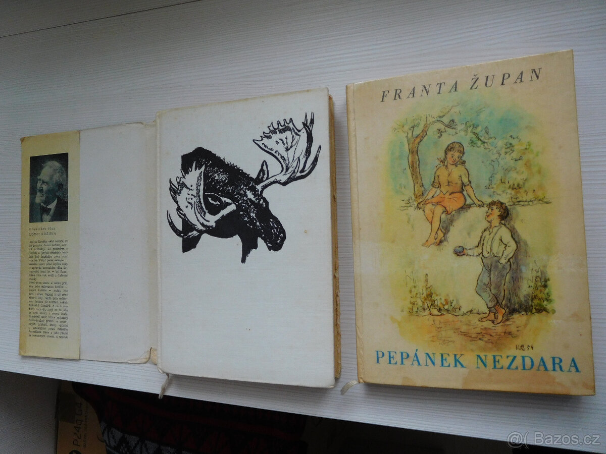 Knihy pro děti a mládež - 10