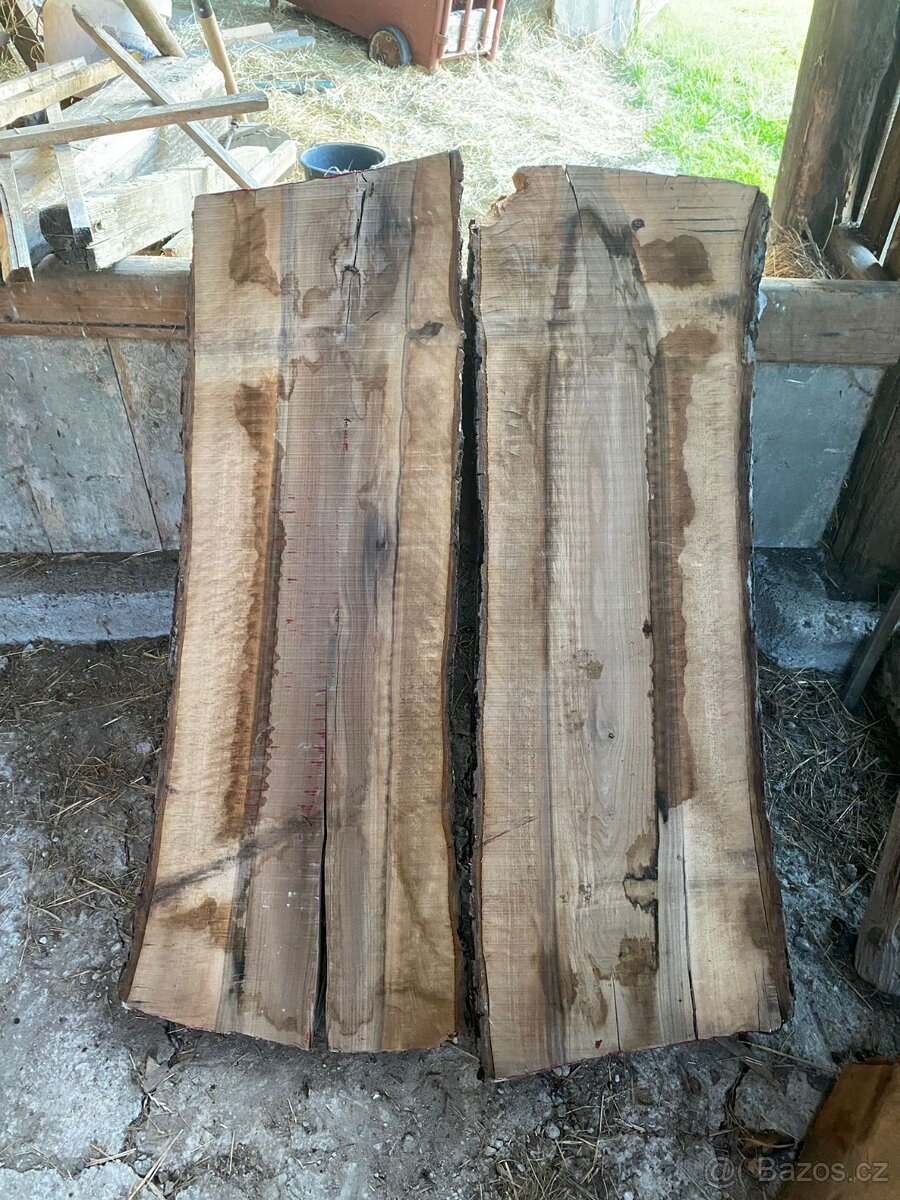 Fošny ořešáku - 10