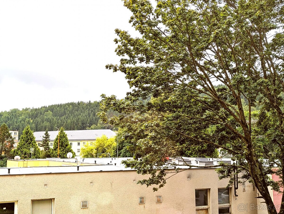 Prodej bytu 1+kk, 22,54 m B. Smetany 1748, Kraslice - 10