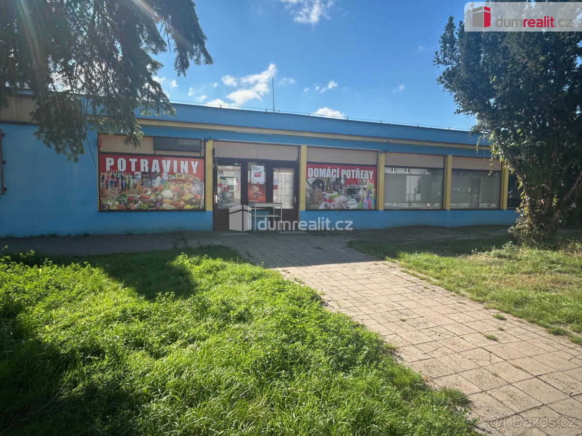 pronájem komerčního objektu, Kolín 5, Třídvorská - 10