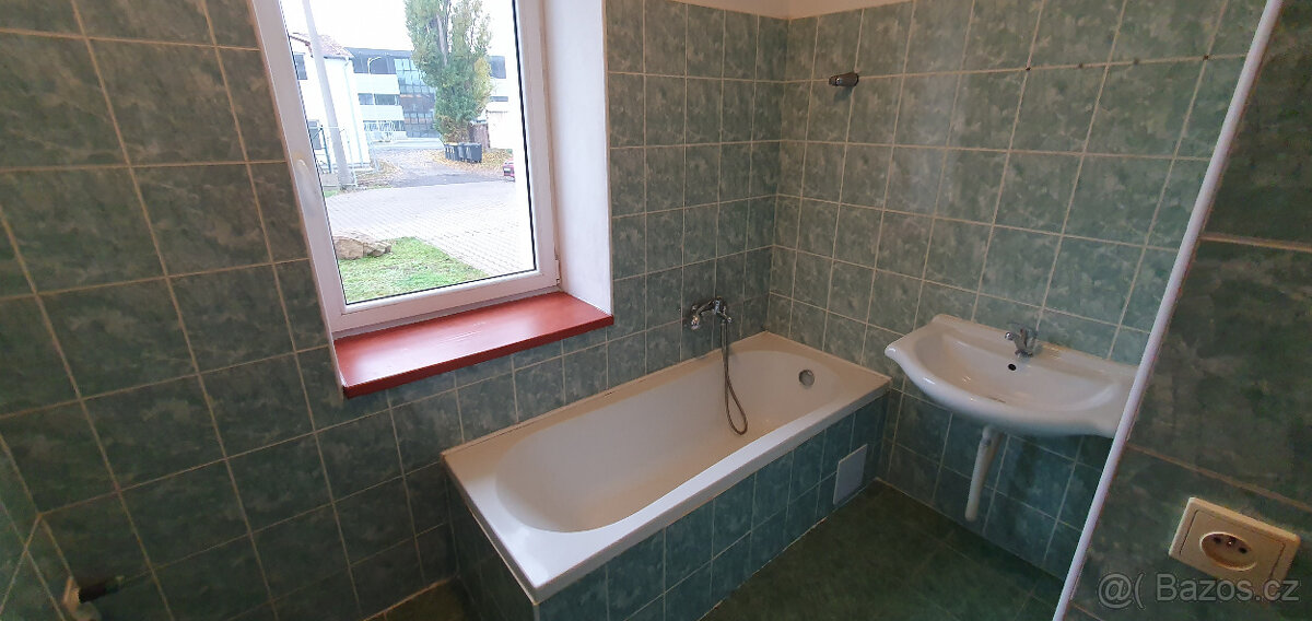 Pronájem bytu 1+1, Košťany - 10
