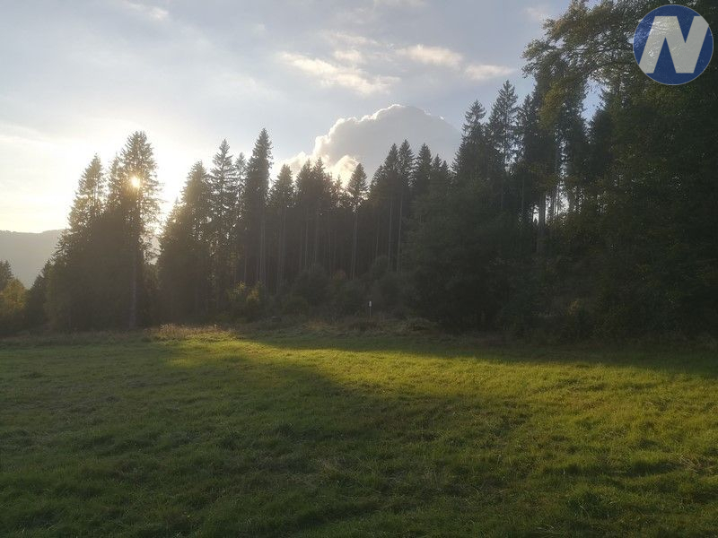 Záhvozdí, pozemek na Šumavě - 10