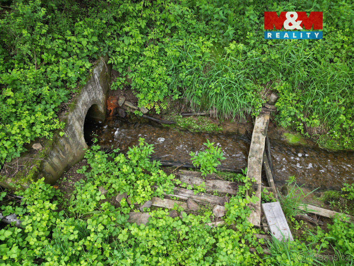 Prodej vodní plochy ve Vílanci - 10