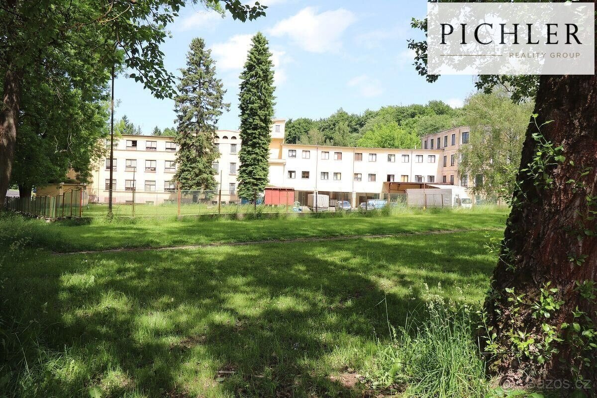 Prodej výrobních prostor s pozemky, Aš - 10