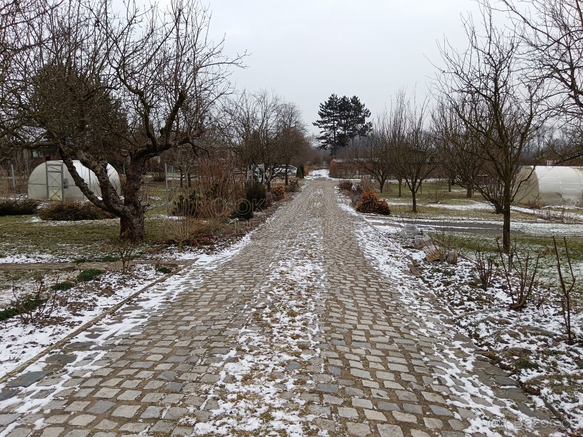 Zahrada s chatou, Otrokovice - 10