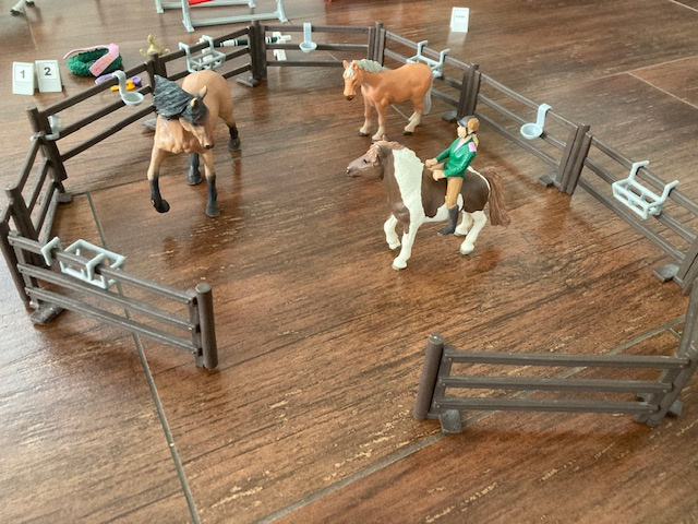 Prodám stáje, koně a příslušenství - 10