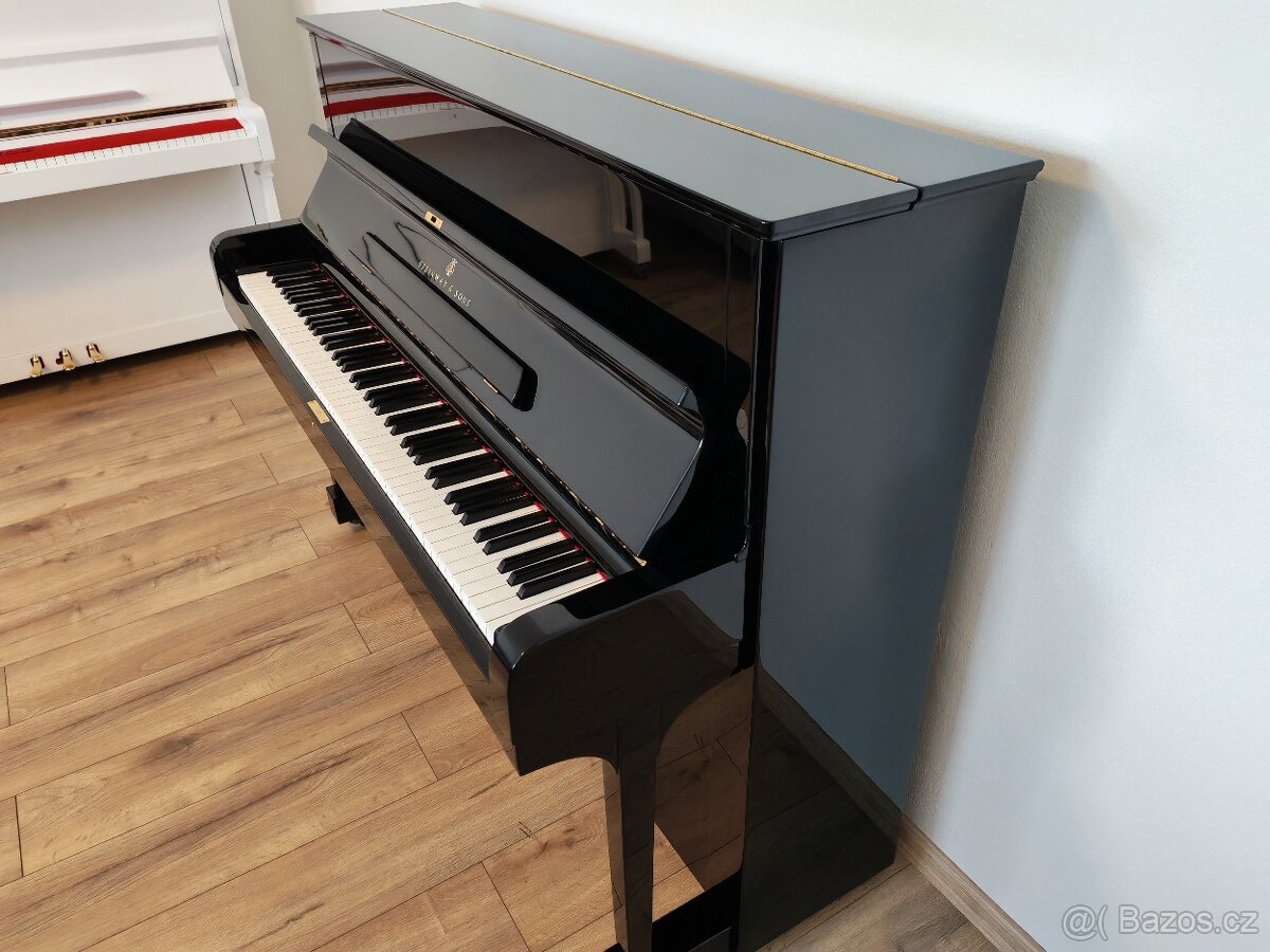 Steinway and Sons dovoz celá ČR - 10