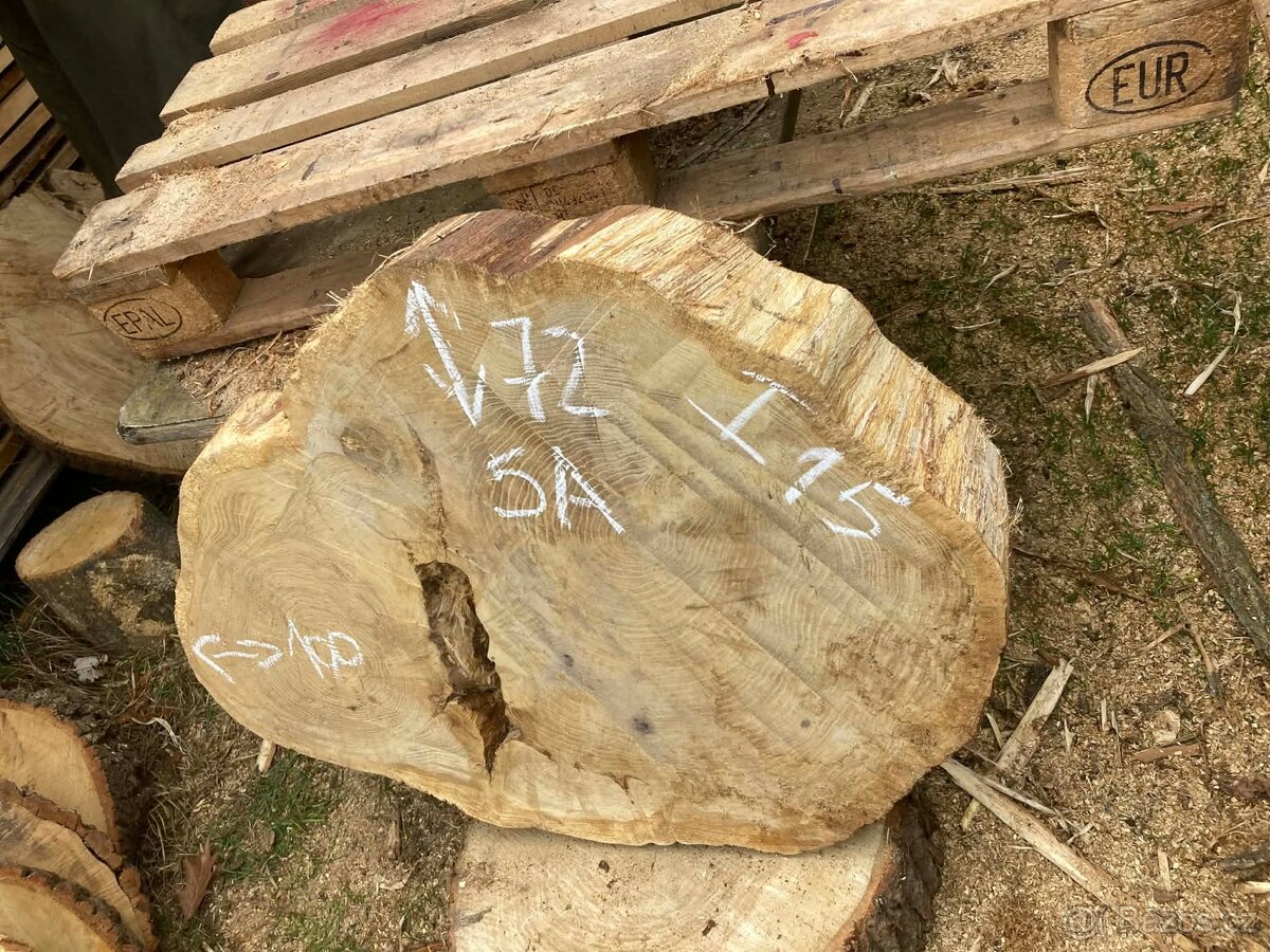 Prodám Dubové koláče - 10