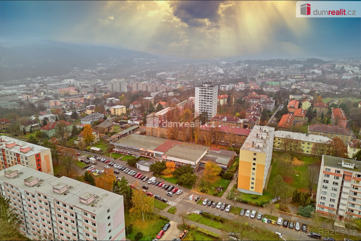 Prodej komerčního prostoru, 191 m2, SNP, Ústí nad Labem - 10