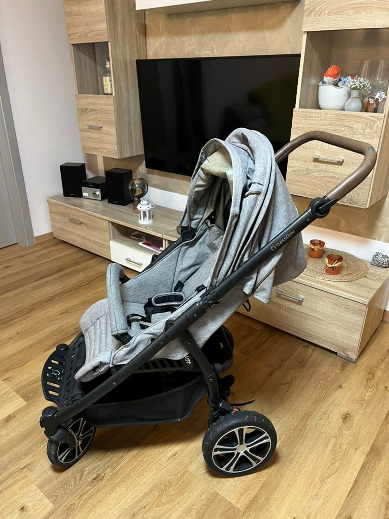 Gesslein S4 Buggy Air+ - 10