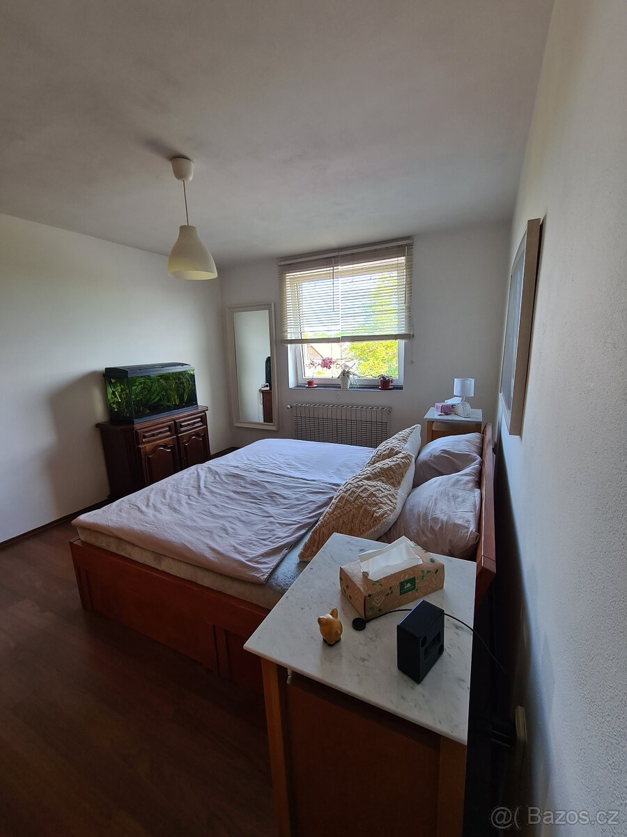 Dvougenerační rodinný dům 2x 3+1 - 10