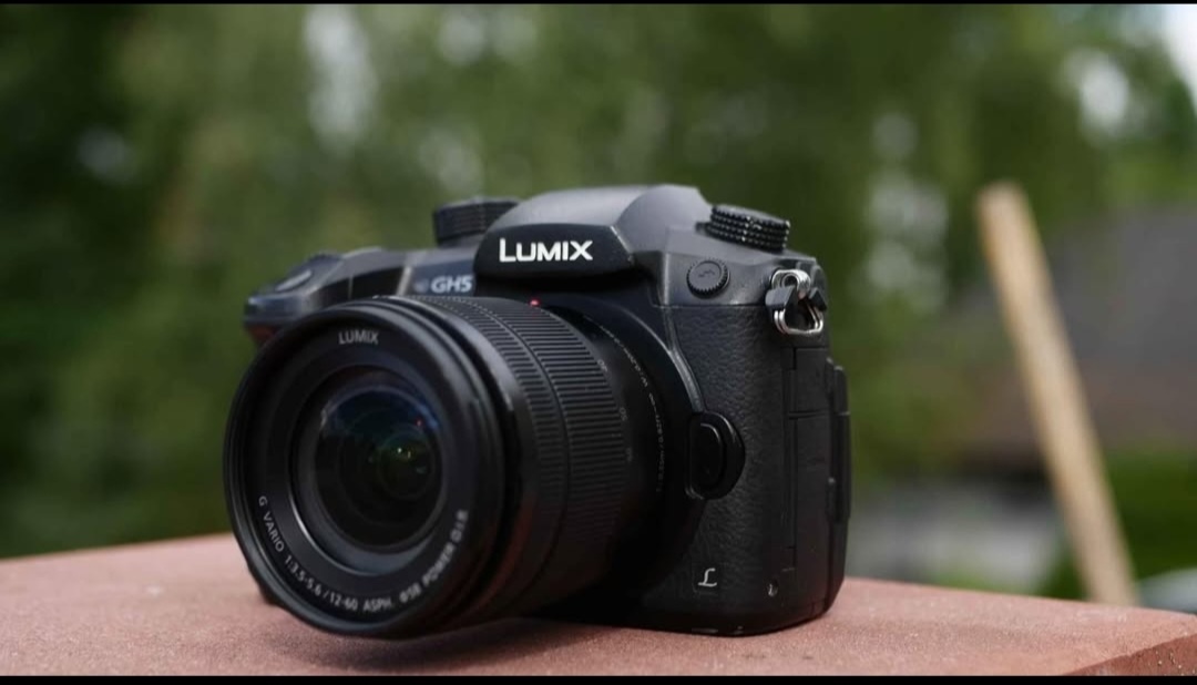 Lumix GH5 - 10