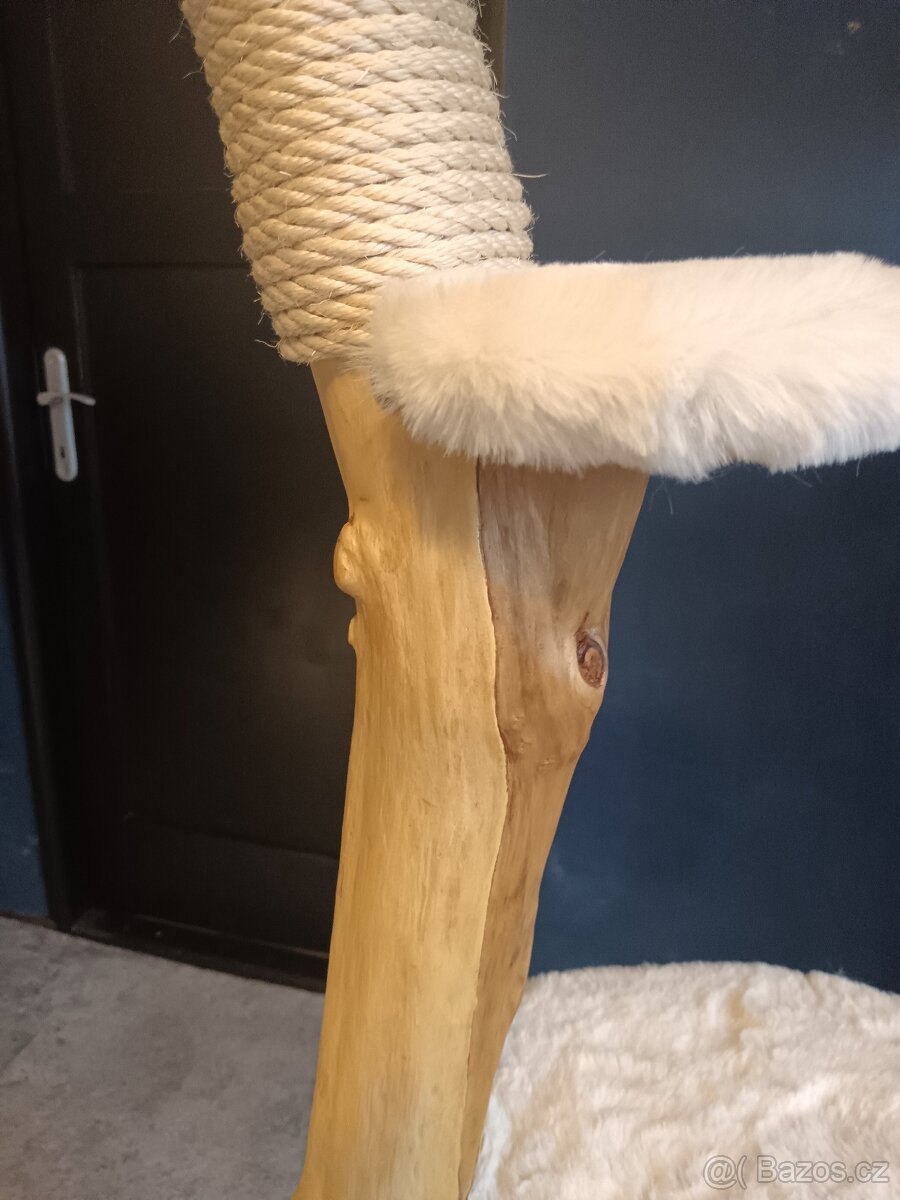 Kočičí strom - 10