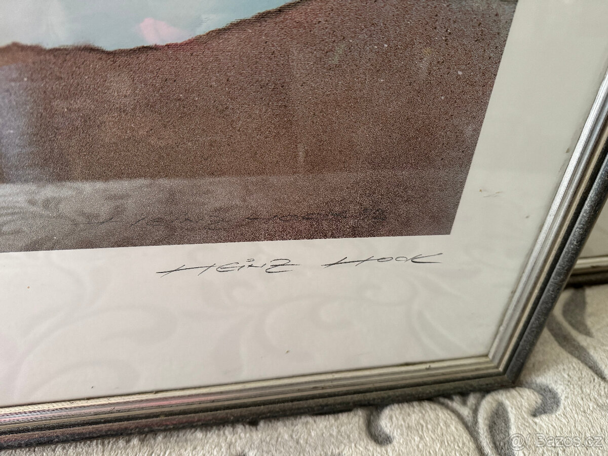 2 obrazy moderní Heinz Hook - 10