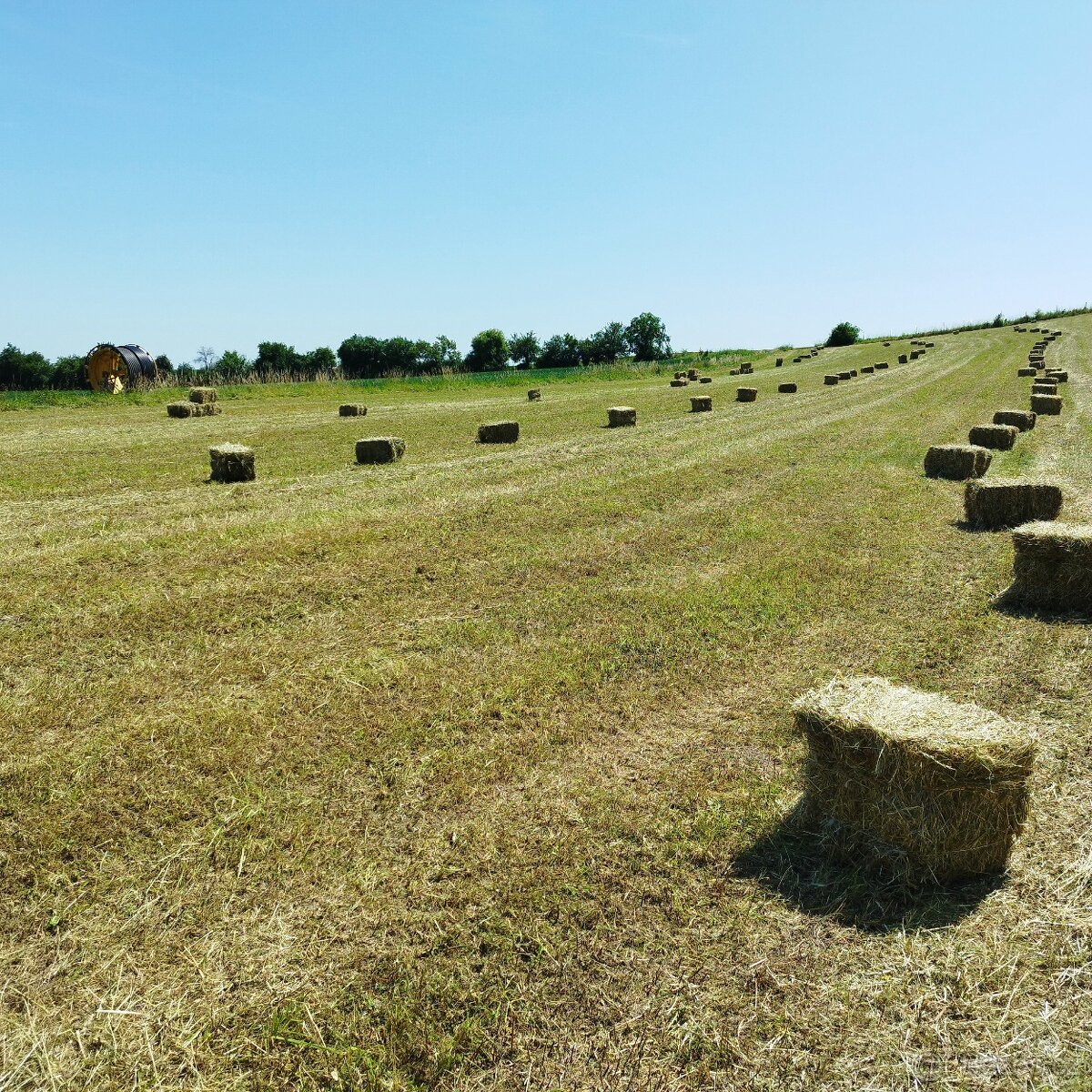 Prodám malé hranaté balíky sena - 10