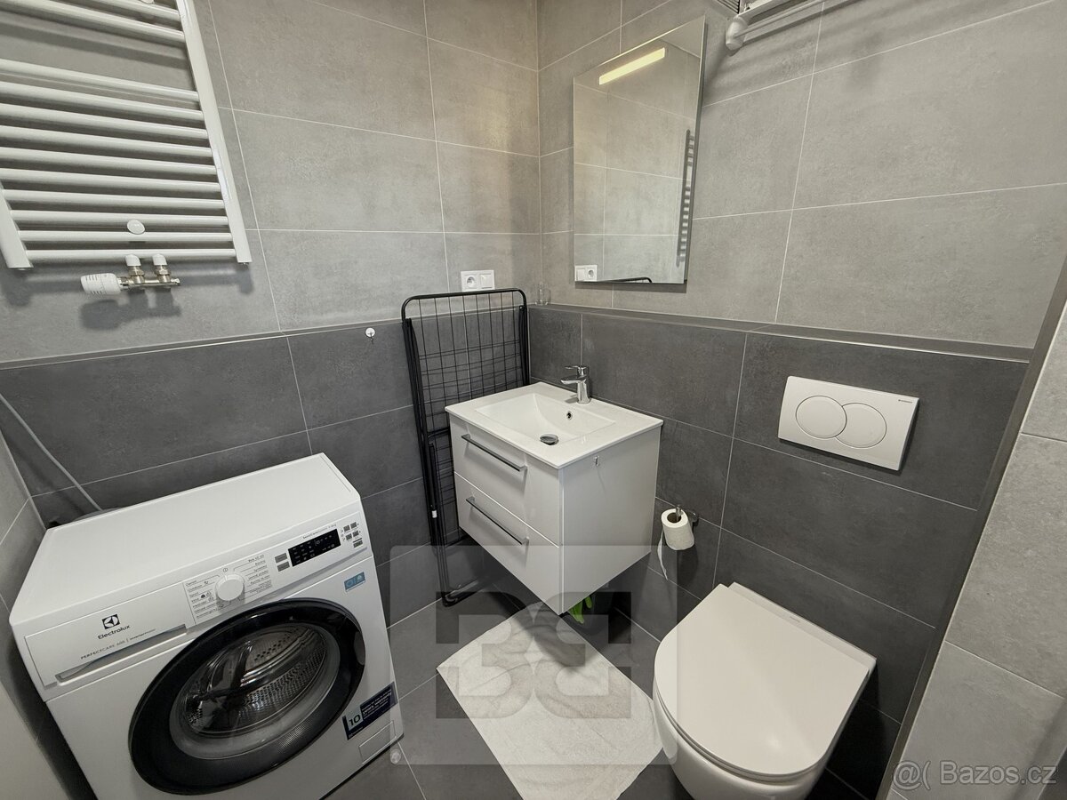 Pronájem bytu 1+kk 27 m², České Budějovice 6, ev.č. N08663 - 10