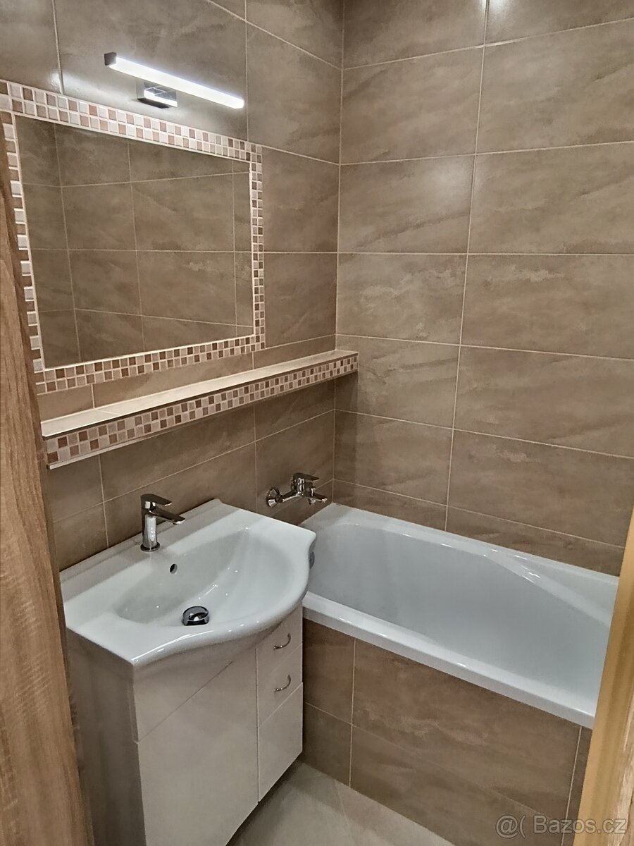 Pronájem bytu 1 + 1 - 10