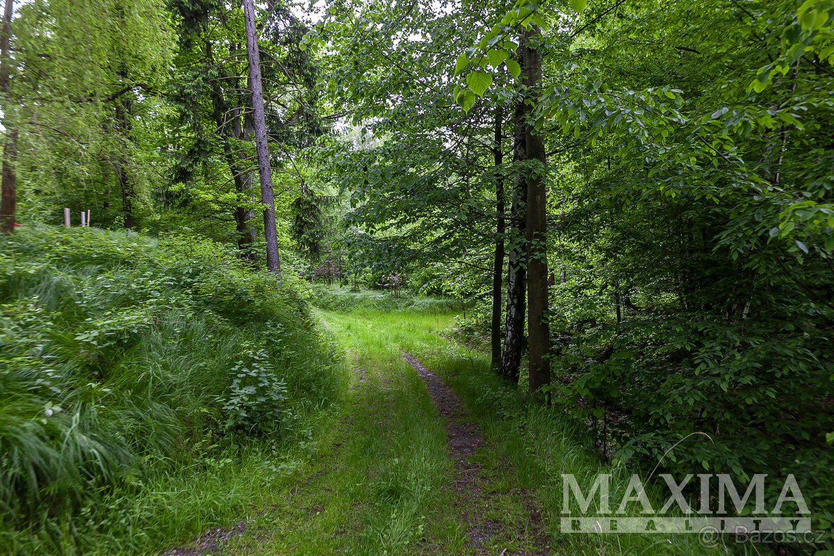 Pozemek o ploše 14573 m2 - Višňová, Předlánce - 10