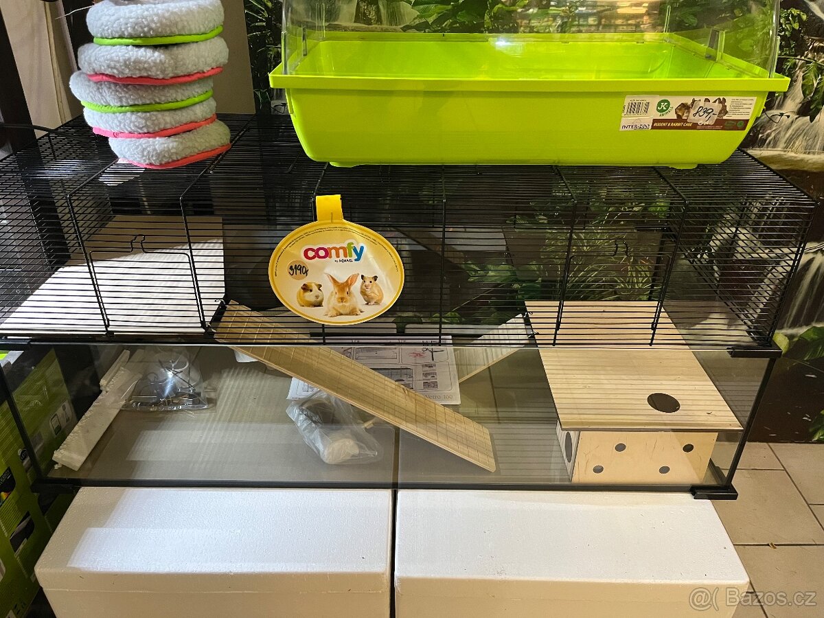 Křeček Syrský nar. 6.3.2026 - 10