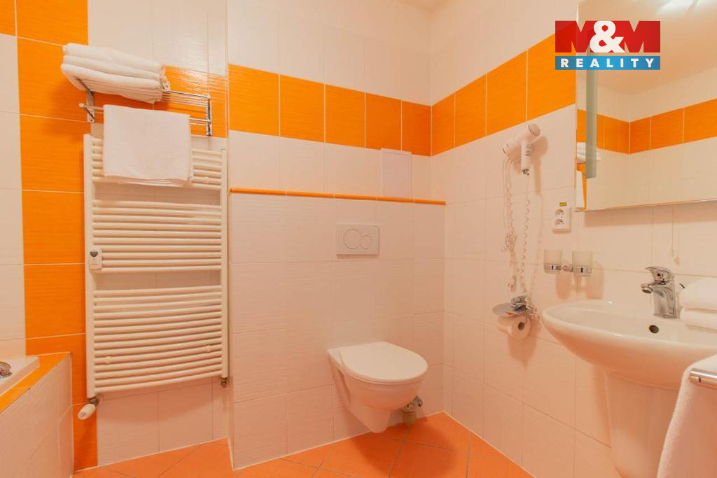 Prodej bytu 1+1, 42 m², Frymburk - 10