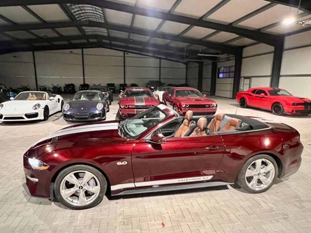 Ford Mustang 5.0 V8 Cabrio (č. 1195) - 10