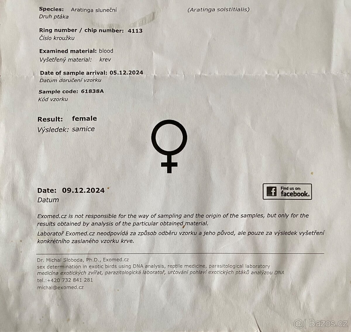 Aratinga Sluneční - Ručně Dokrmená samička - mega mazel - 10