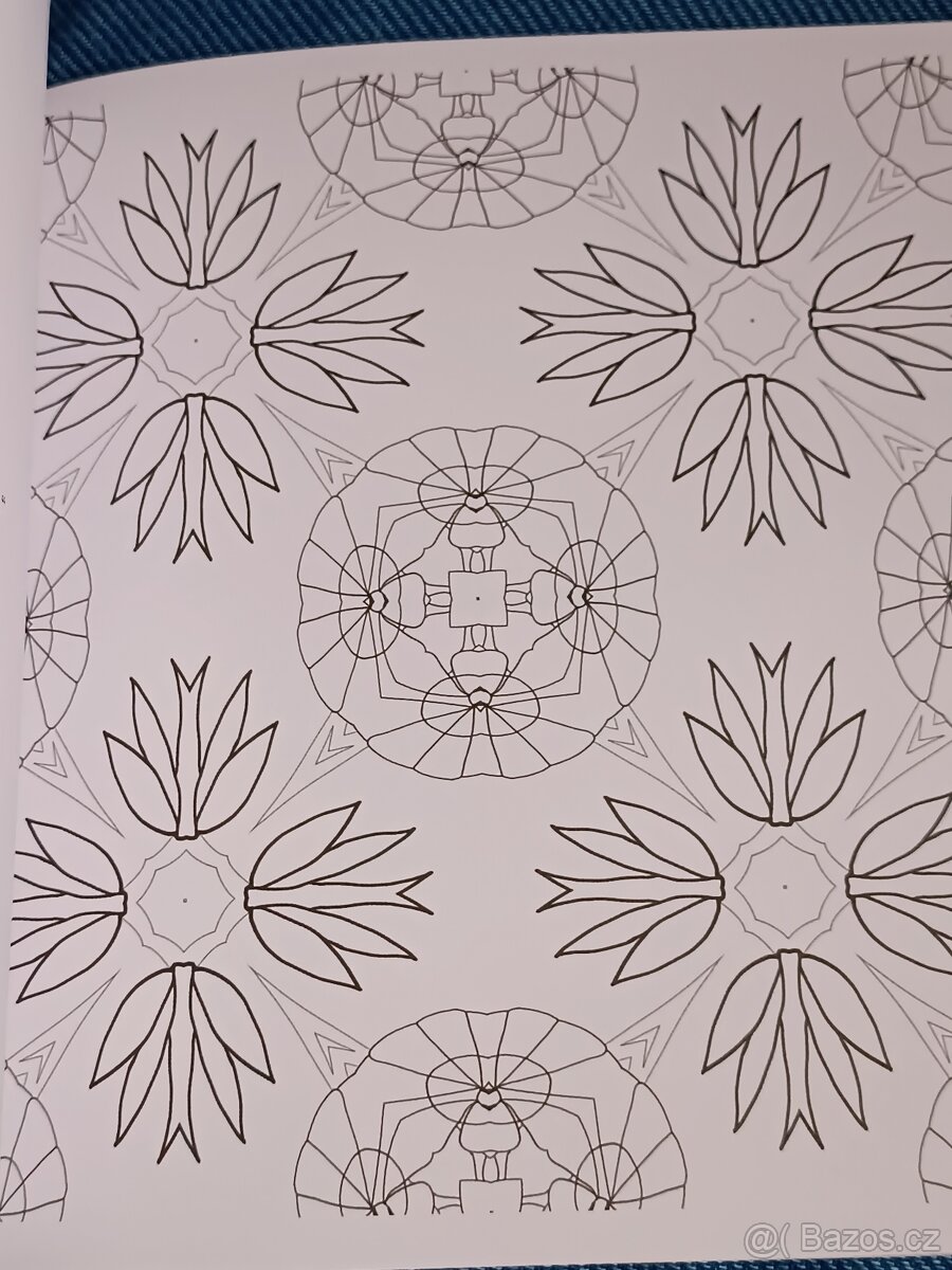 Omalovánky pro dospělé: Inspirativní a ............. - 10