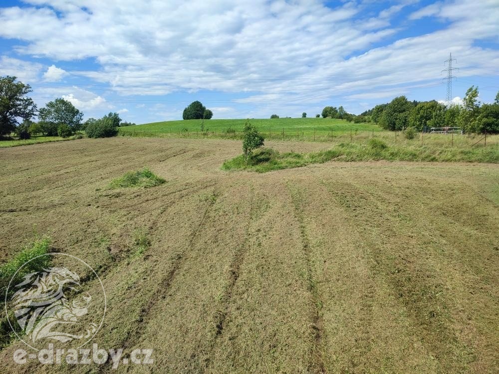 Pozemky pro výstavbu, zahrady, 11 054 m2, Bruzovice, okres F - 10