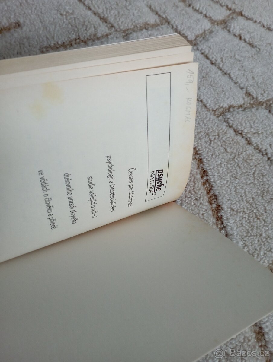 Sylvia Brinton Perera: Sestup k Bohyni - 10