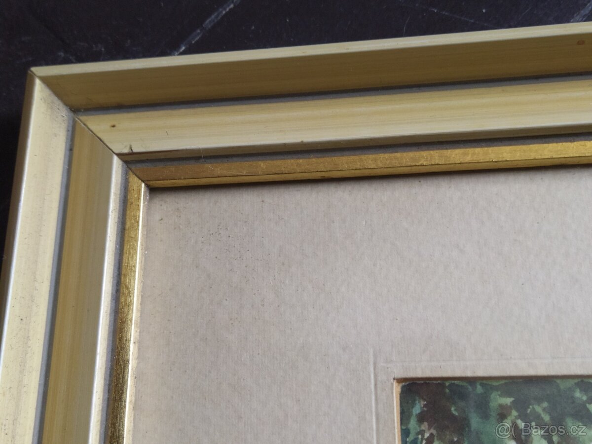 Obraz Akvarelová malba 55×45cm. signová - 10