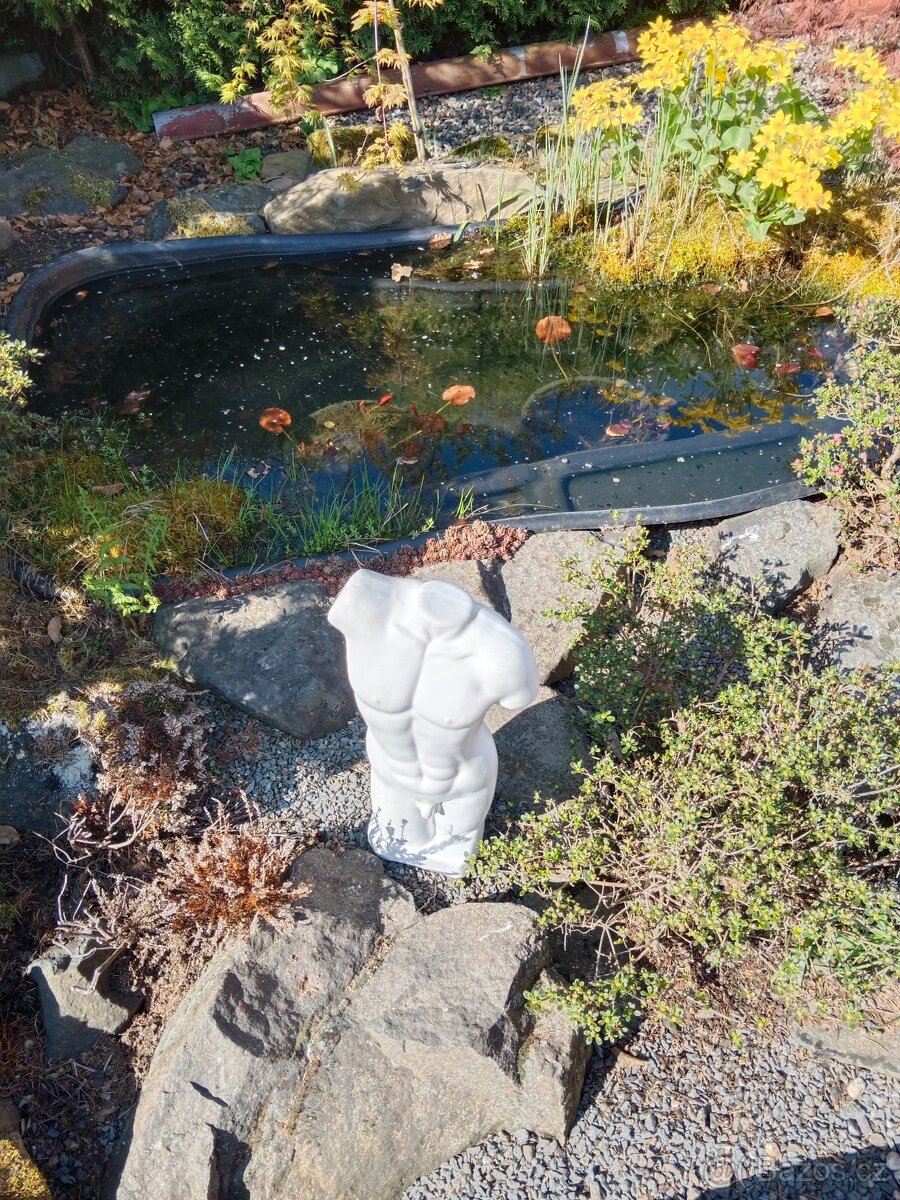 Torzo mužského těla 50 cm - 10